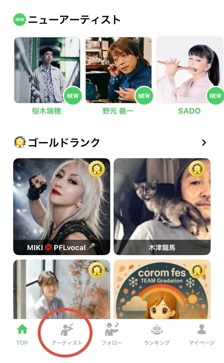 The Artists tab at the bottom of the screen, circled in red